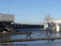 Imagine atasata: Accident Perenna Aradului - 2016.02.14 - 05.jpg